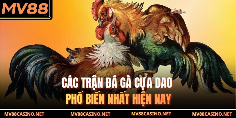Các trận đá gà cựa dao phổ biến nhất hiện nay Các trận đá gà cựa dao phổ biến nhất hiện nay