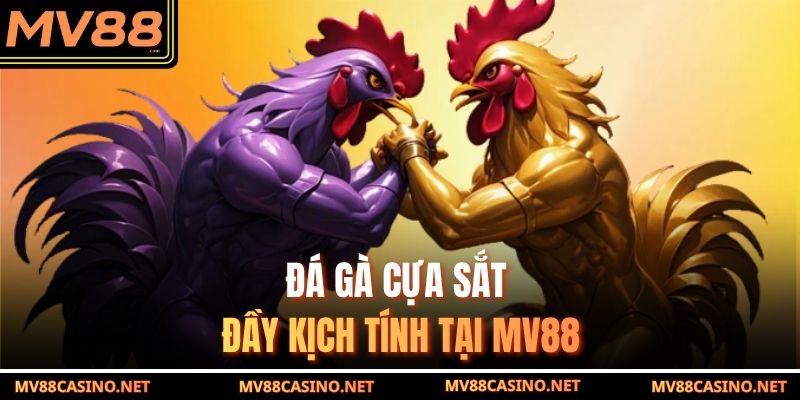 Đá gà cựa sắt đầy kịch tính tại MV88 Đá gà cựa sắt đầy kịch tính tại MV88